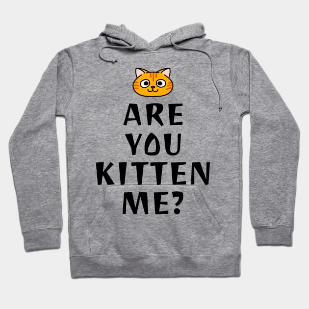 are you kitten me Hoodie by Elite Wear 